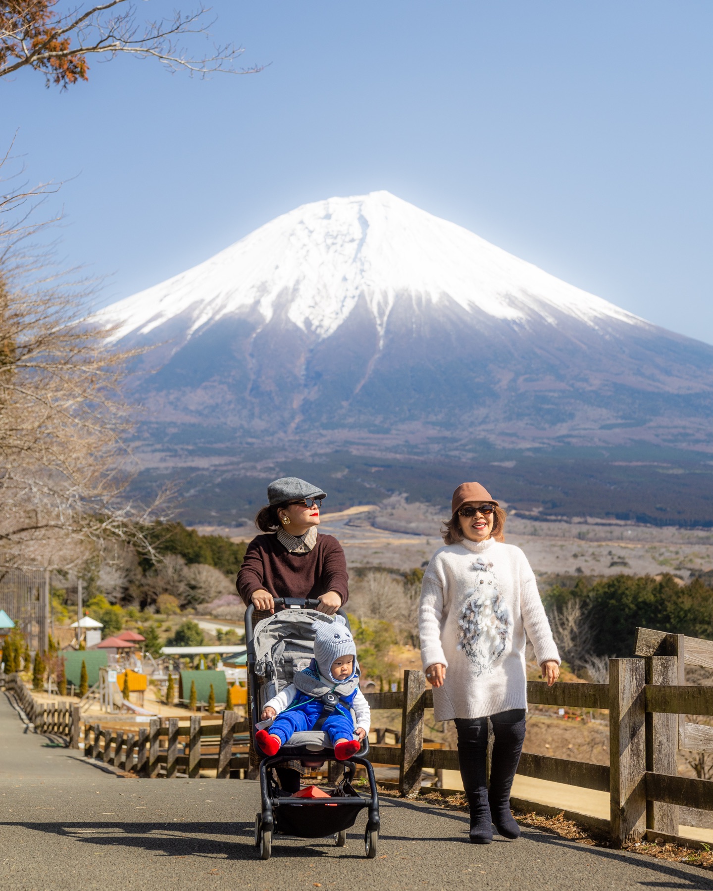 Japan private trip moment with Mount Fuji view
